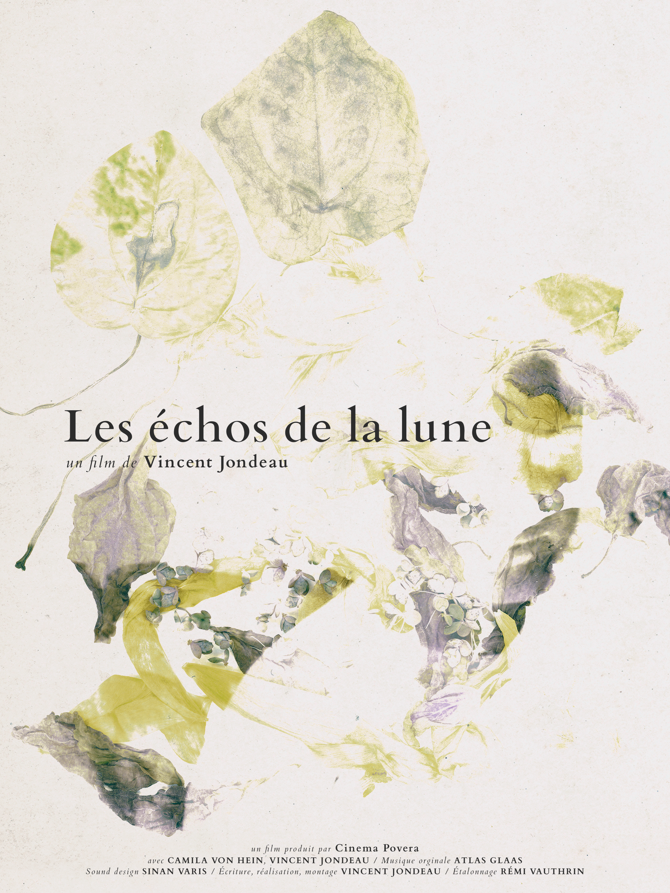 Poster for Echoes of the Moon