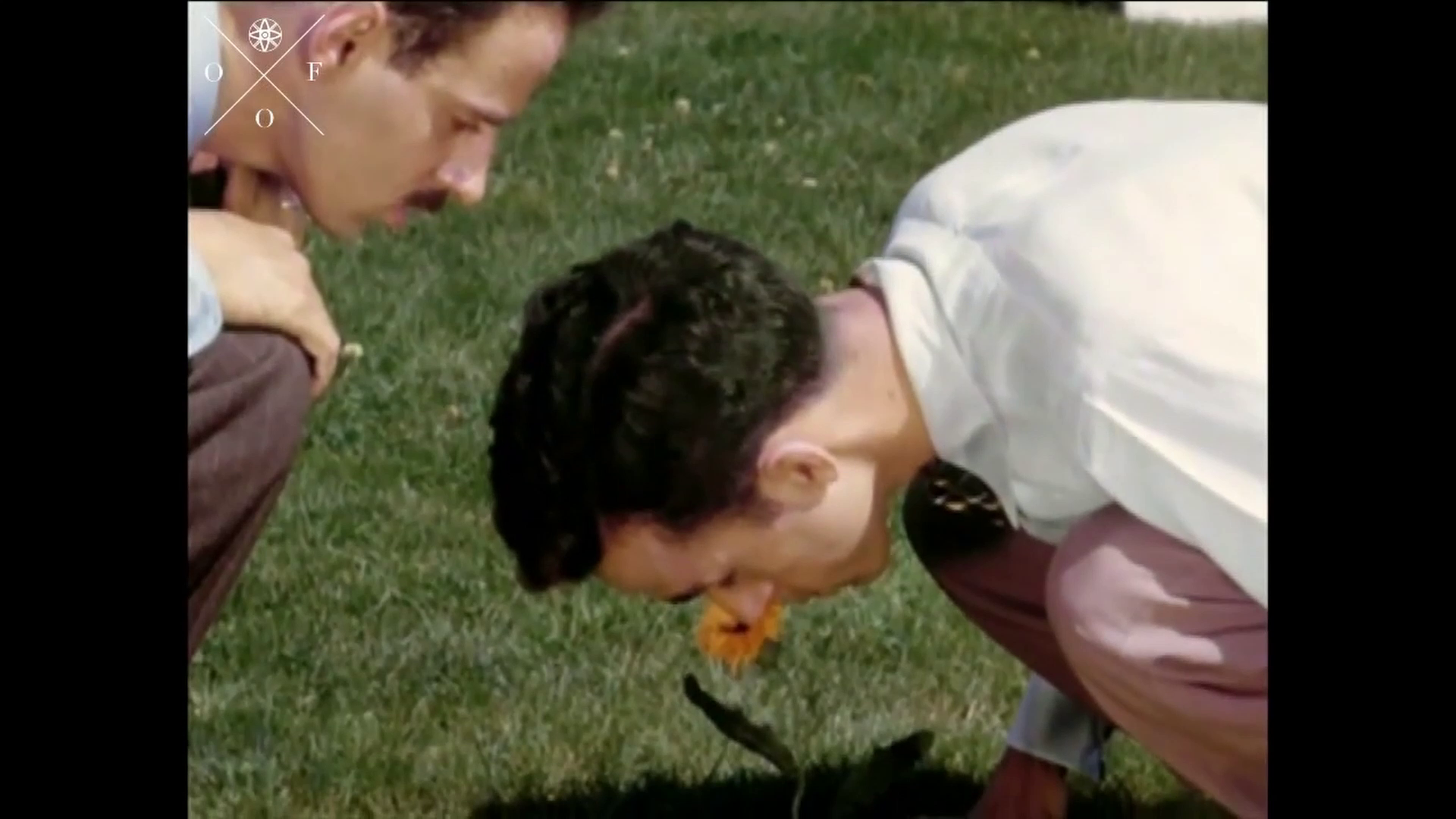 McLaren 'Mur à mur': Neighbours of Fury screenshot 1