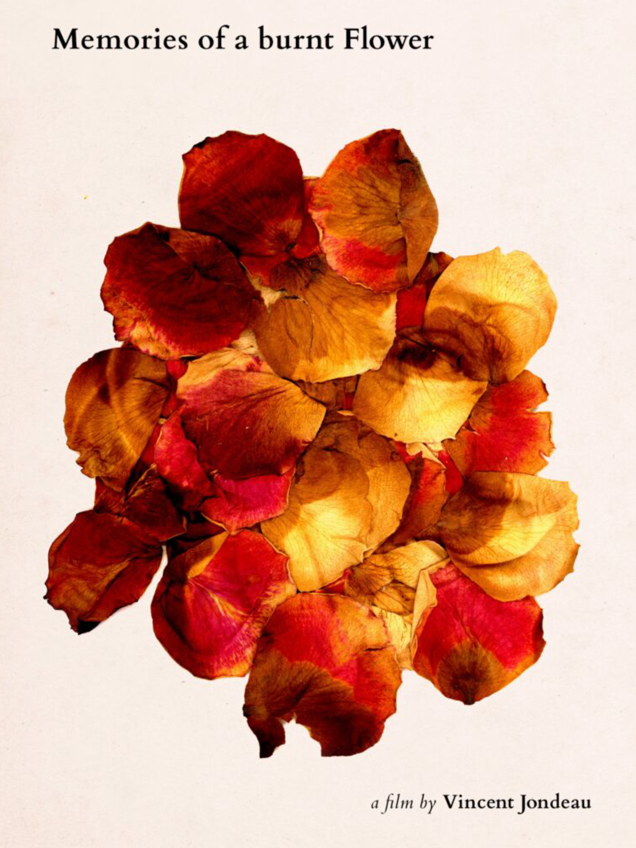 Poster for Memories of a Burnt Flower