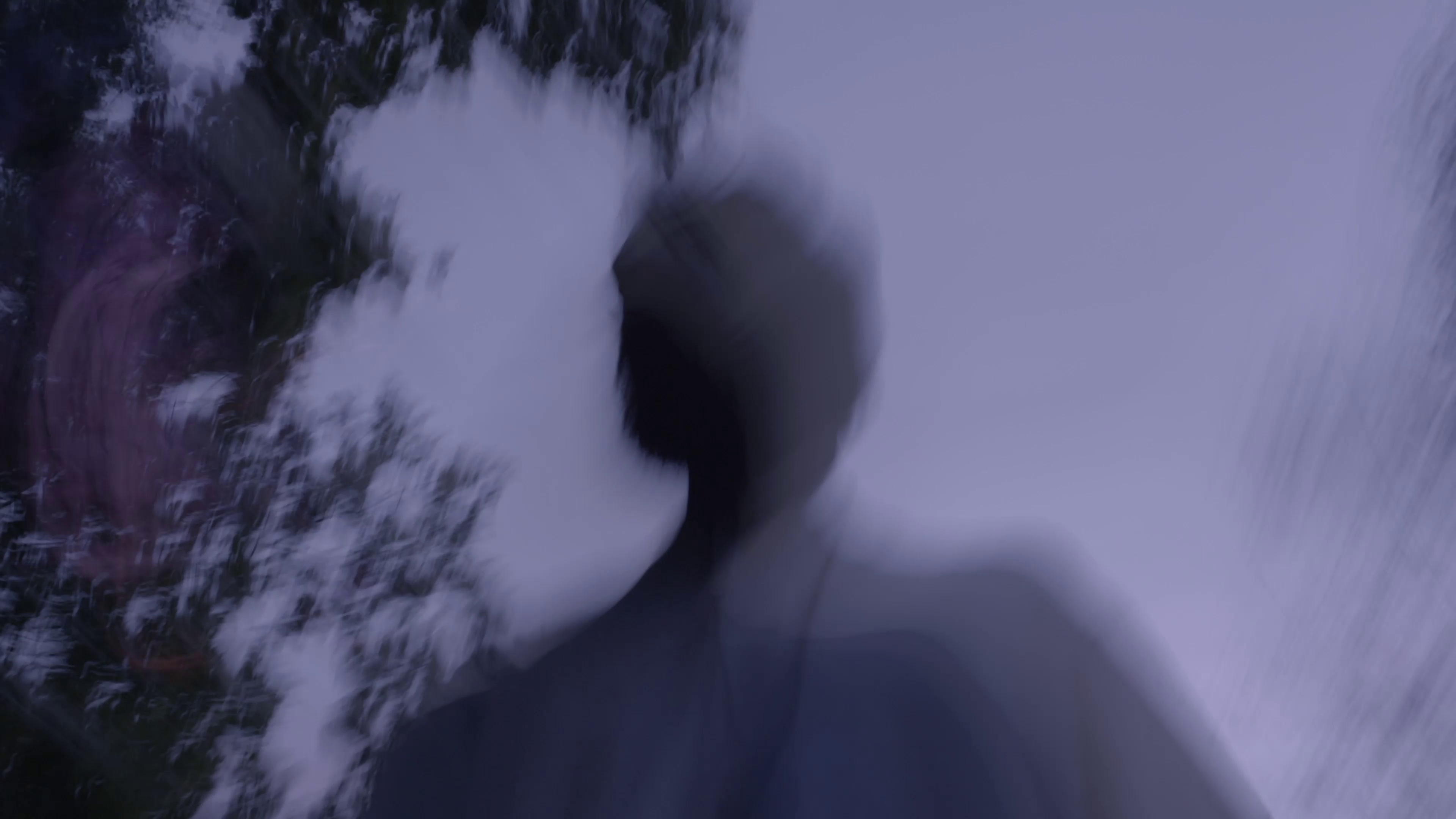 Phoebus screenshot 1